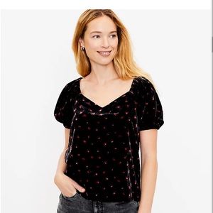 Loft women’s small petite velvet blouse